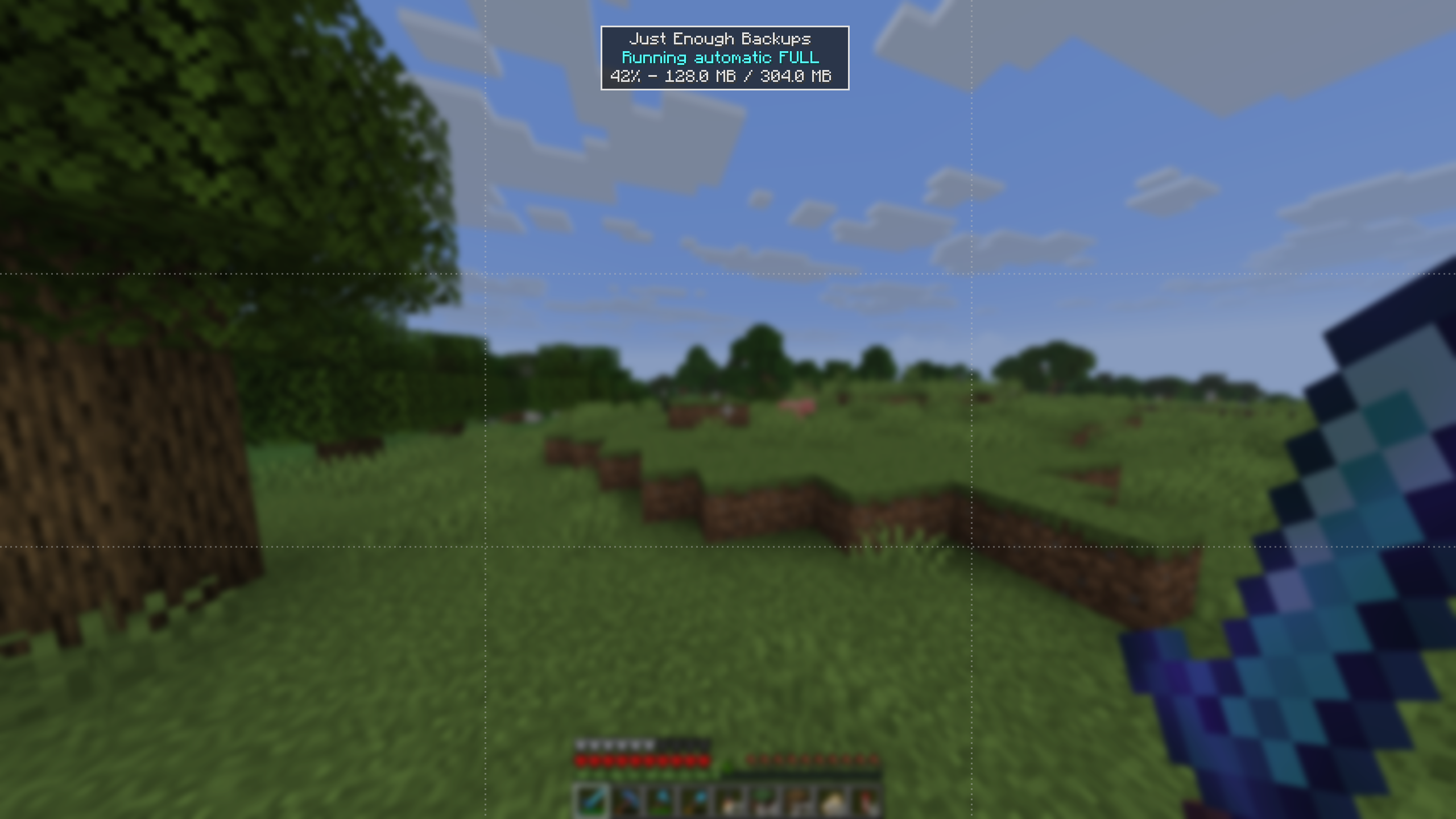 Preview Screen
